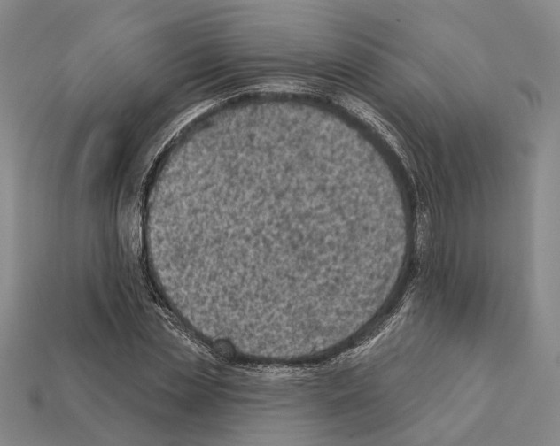 X0000112420829200909251514