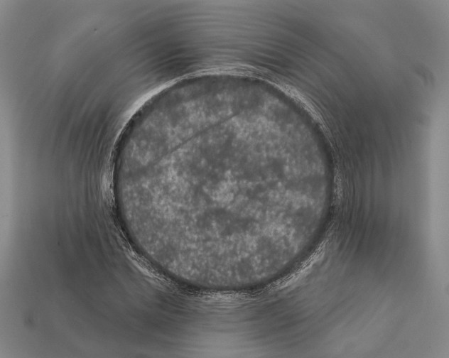 X0000112420830200909251514