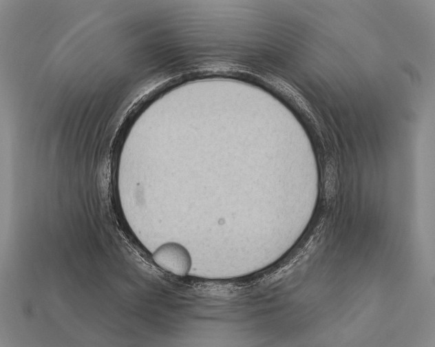 X0000112420831200909251514