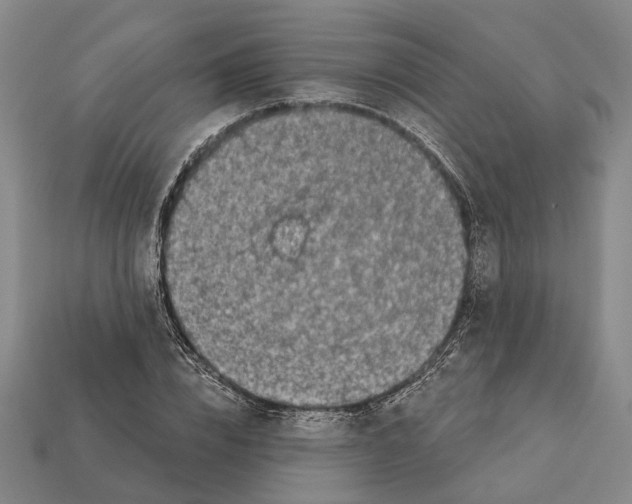 X0000112420832200909251514