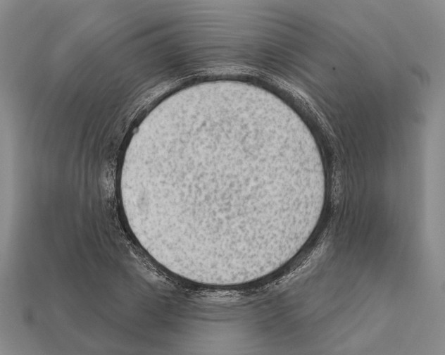 X0000112420833200909251514