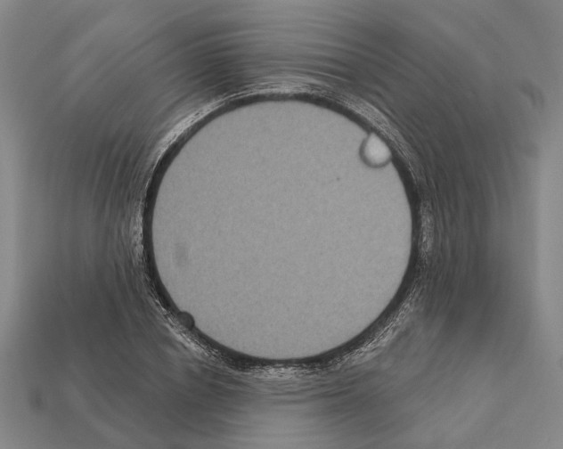 X0000112420834200909251514