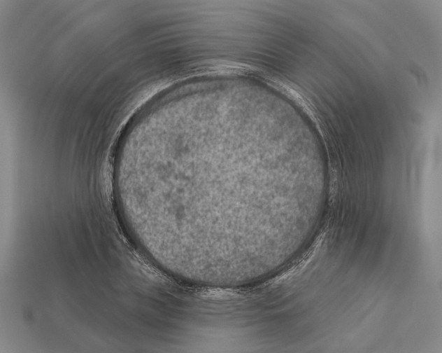 X0000112420835200909251514