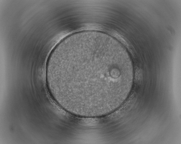 X0000112420836200909251514