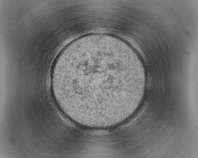 X0000112420837200909251514