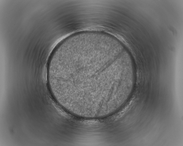 X0000112420838200909251514