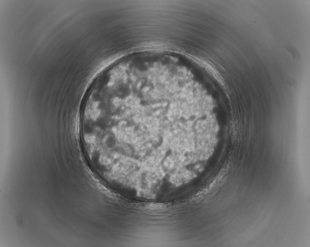 X0000112420839200909251514