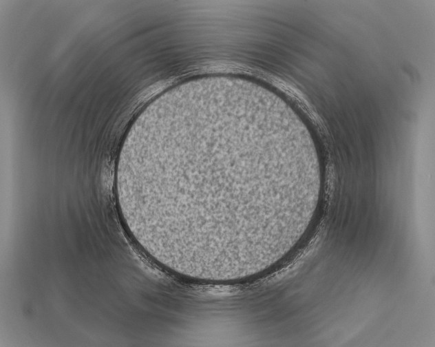 X0000112420841200909251514