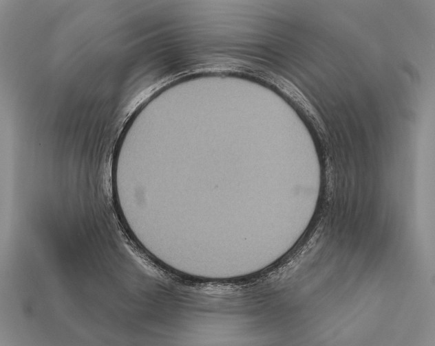 X0000112420842200909251514