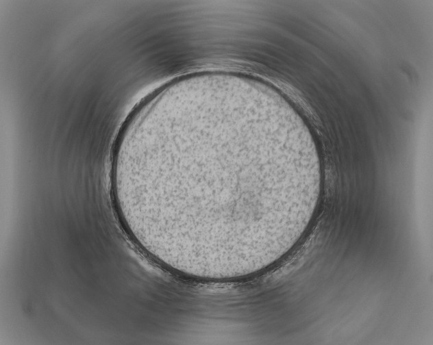 X0000112420846200909251514