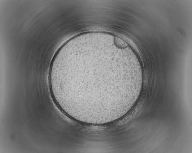 X0000112420847200909251515