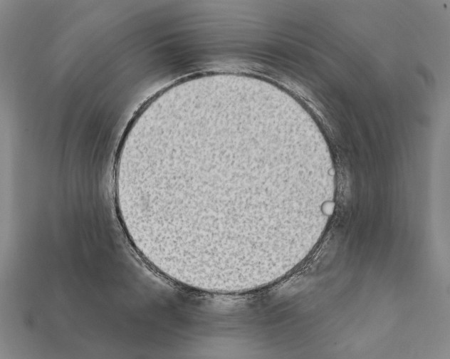 X0000112420848200909251515