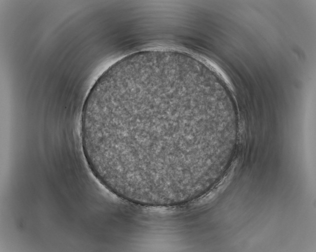 X0000112420855200909251515