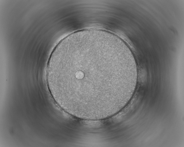 X0000112420856200909251515