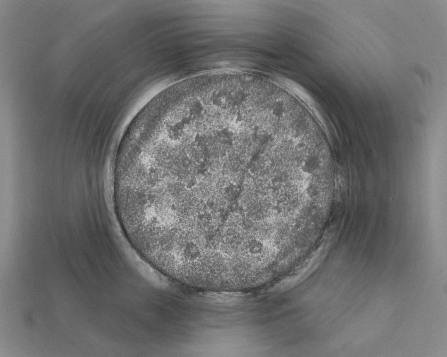 X0000112420859200909251515