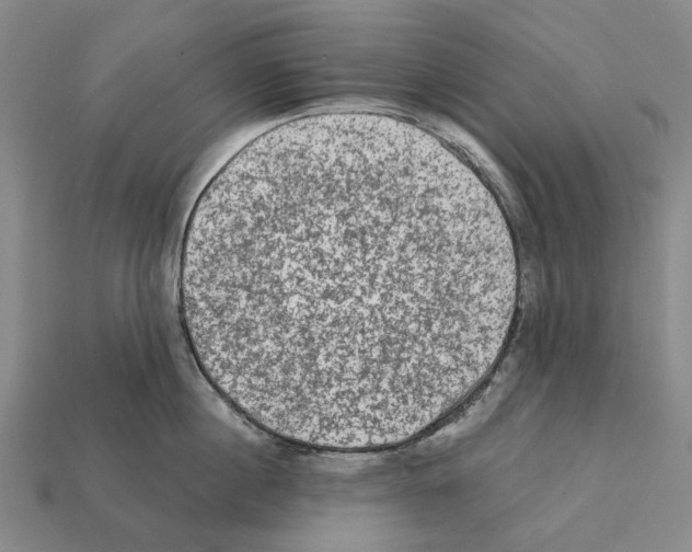 X0000112420860200909251515