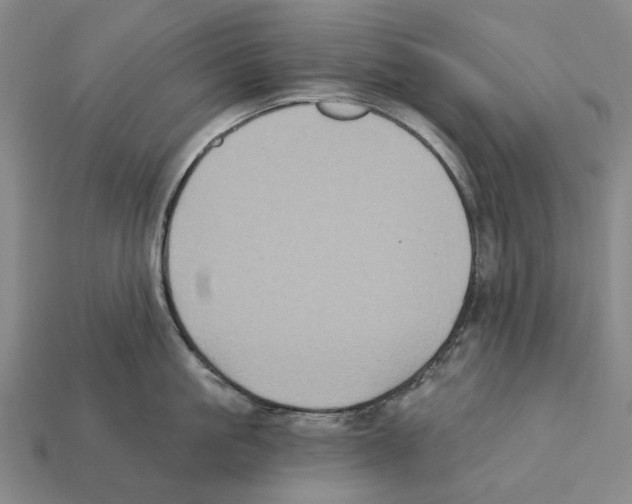 X0000112420861200909251515