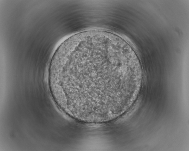 X0000112420862200909251515