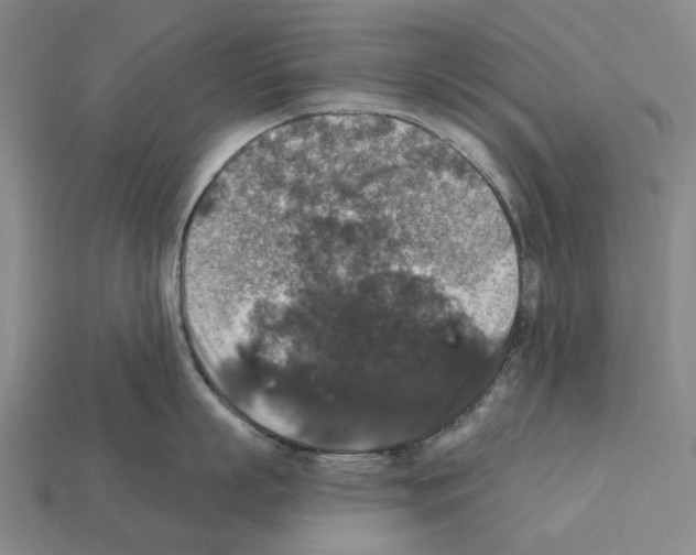 X0000112420863200909251515