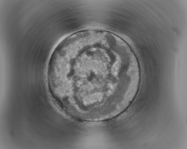 X0000112420864200909251515