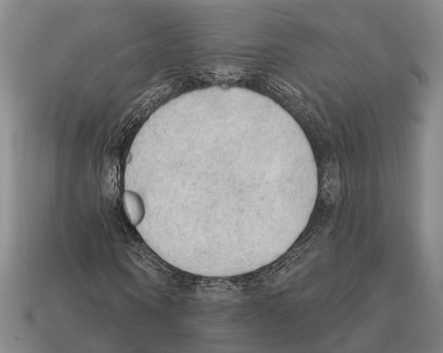 X0000112420866200909251514