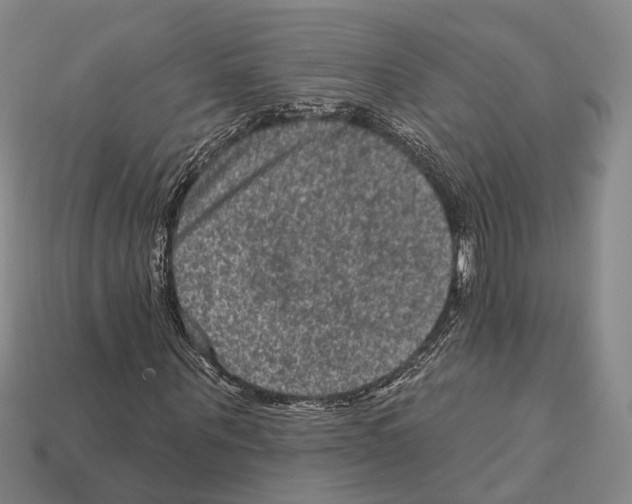 X0000112420867200909251514