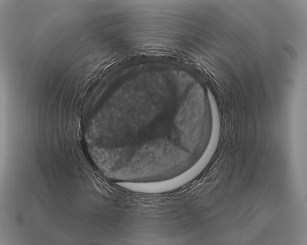 X0000112420868200909251514