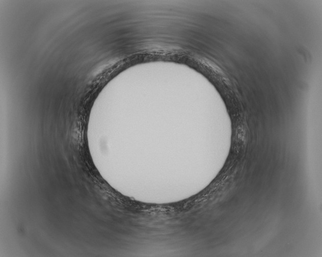 X0000112420869200909251514