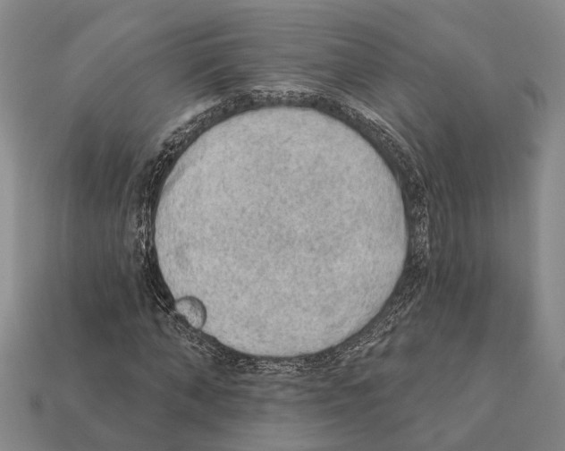 X0000112420870200909251514