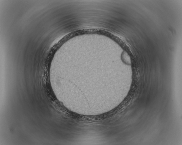 X0000112420871200909251514