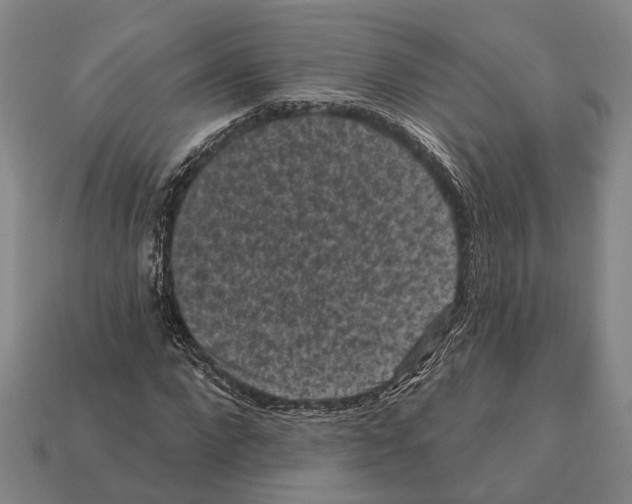 X0000112420872200909251514