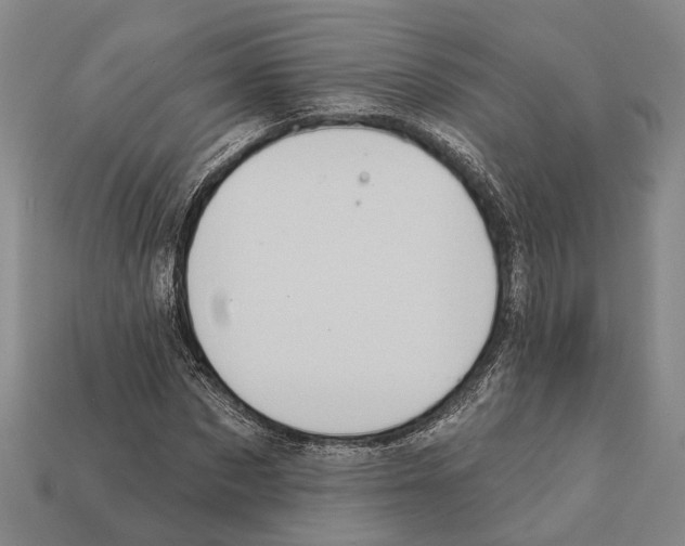 X0000112420873200909251514