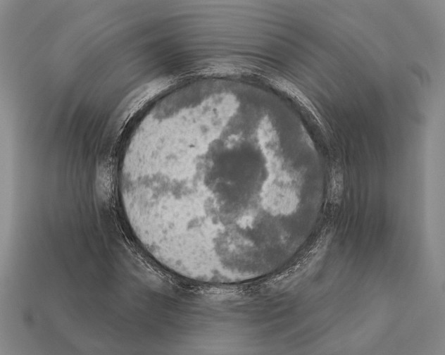 X0000112420874200909251514