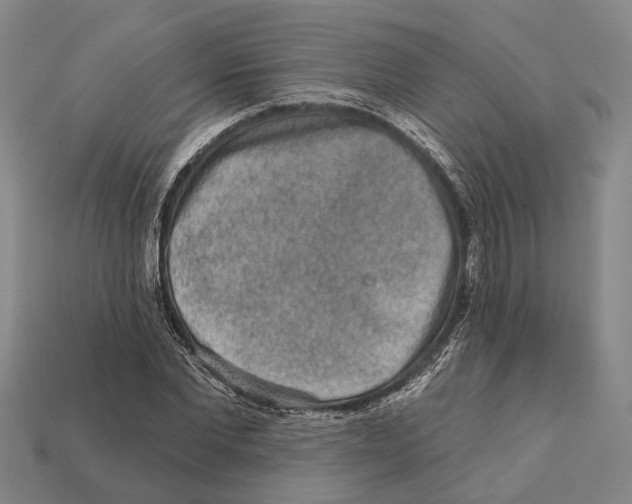 X0000112420877200909251514