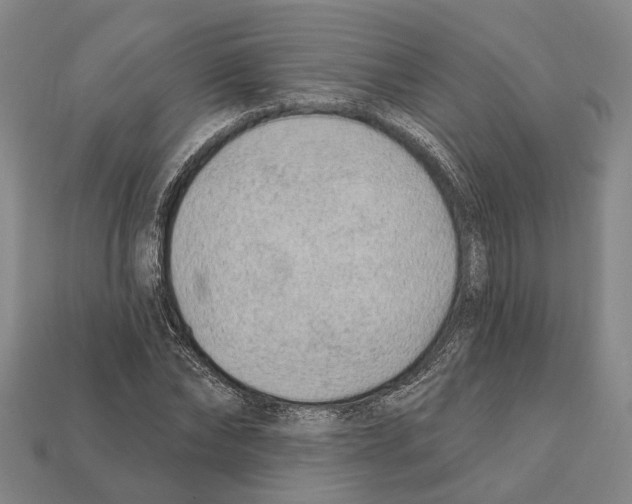 X0000112420878200909251514