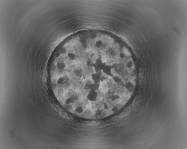 X0000112420879200909251514