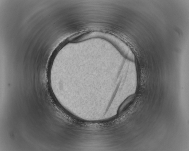 X0000112420880200909251514