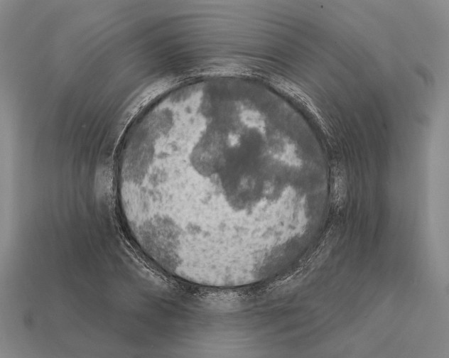 X0000112420882200909251514