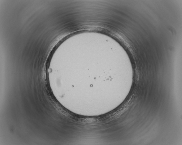 X0000112420883200909251514