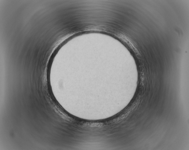 X0000112420884200909251514