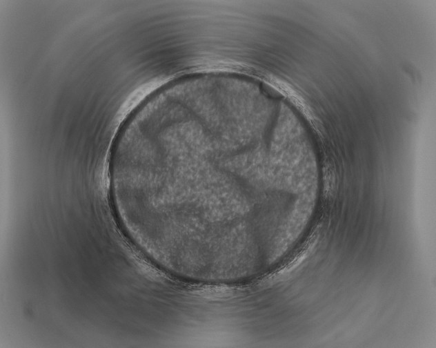 X0000112420885200909251514