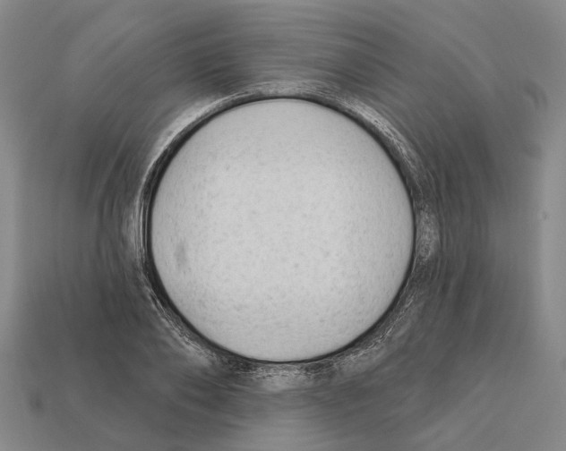 X0000112420886200909251514