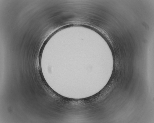 X0000112420887200909251514