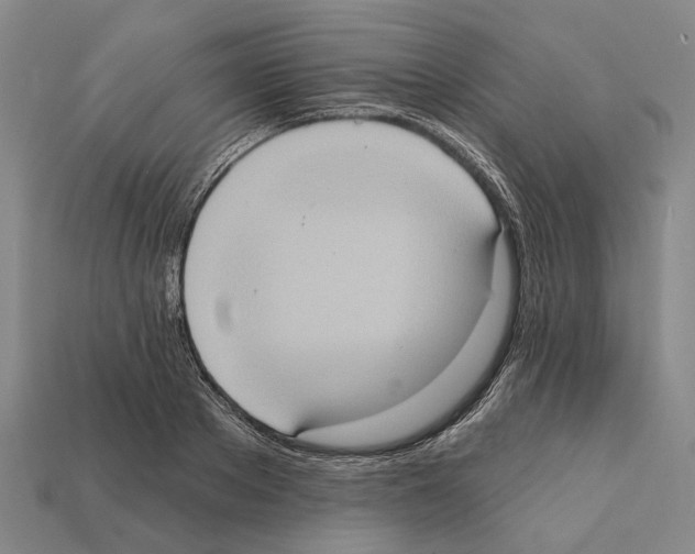 X0000112420889200909251514