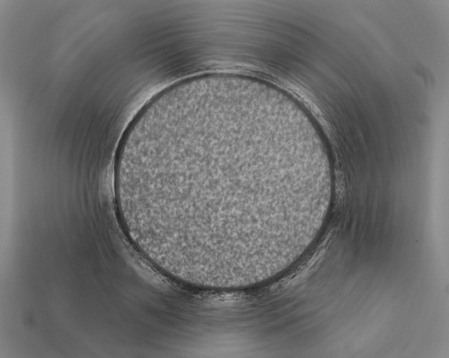 X0000112420891200909251514