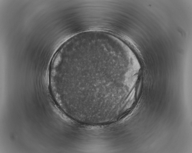 X0000112420892200909251514