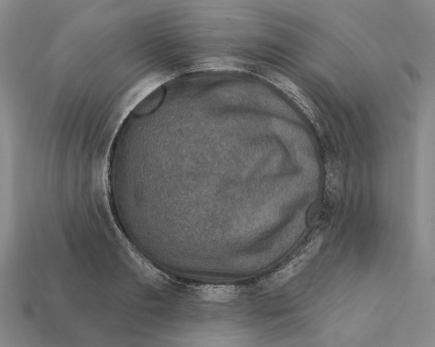 X0000112420893200909251514