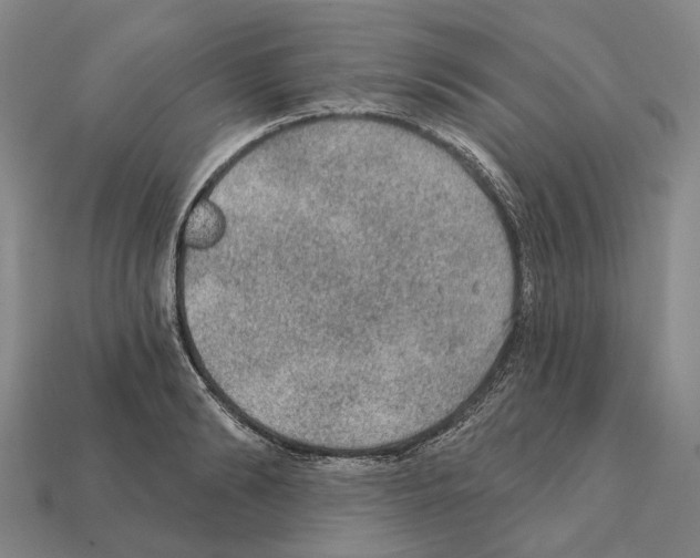 X0000112420894200909251514