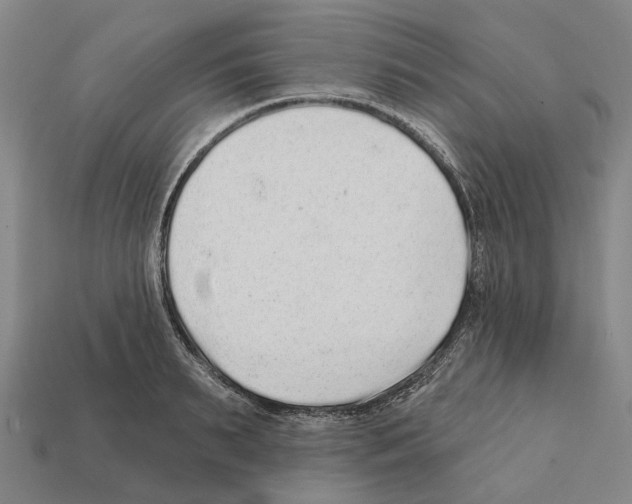 X0000112420895200909251514