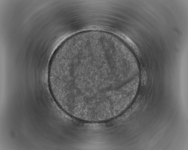 X0000112420896200909251514